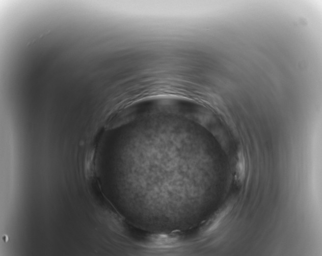 X0000089460239200706221311