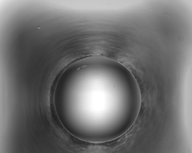 X0000089460242200706221310