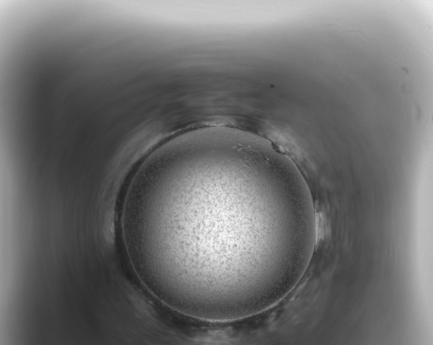 X0000089460243200706221310