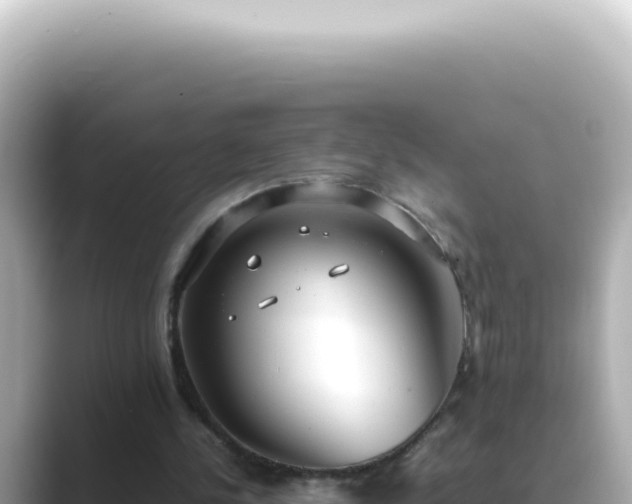 X0000089460244200706221310