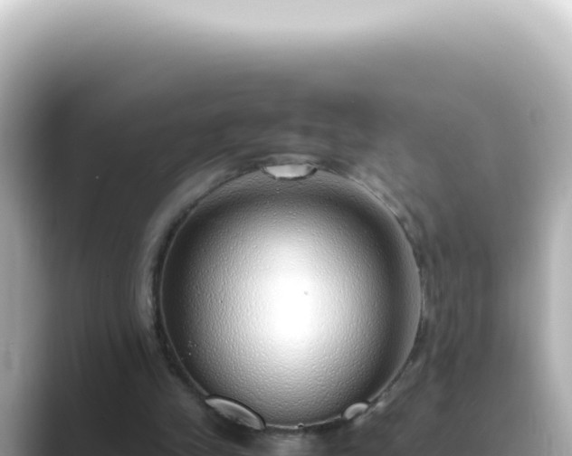 X0000089460245200706221310