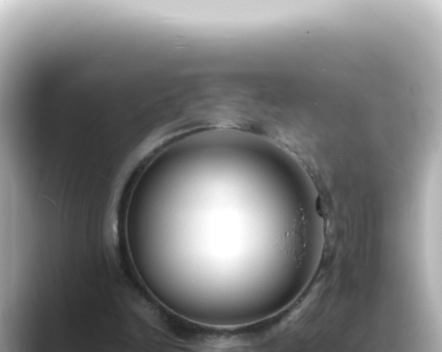 X0000089460246200706221310