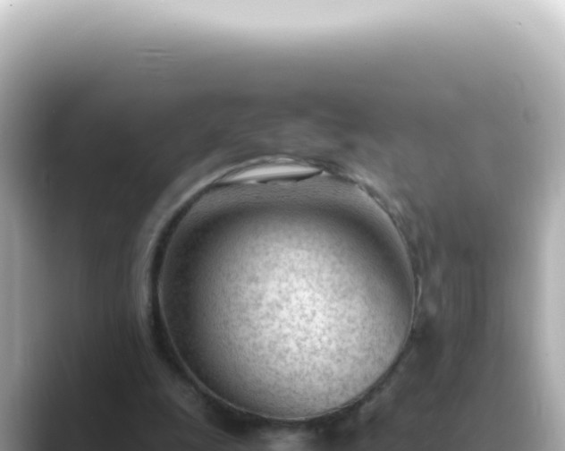 X0000089460247200706221310