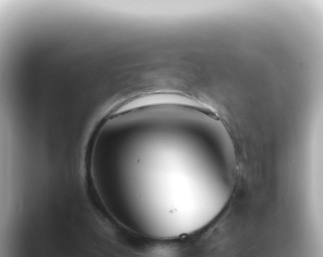 X0000089460248200706221310