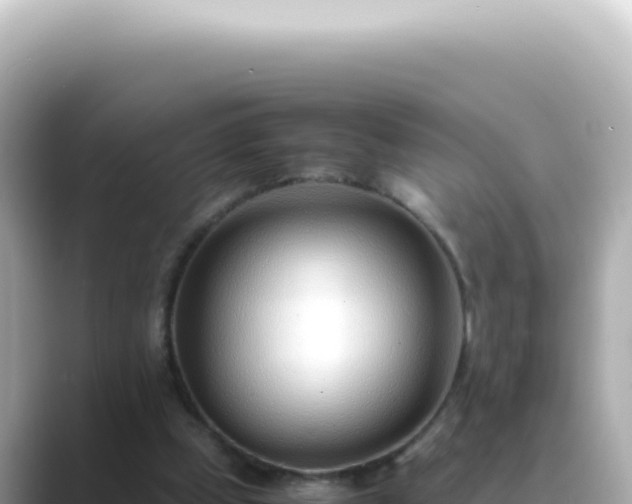 X0000089460249200706221310
