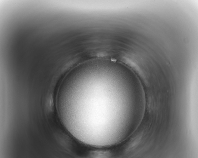 X0000089460251200706221310