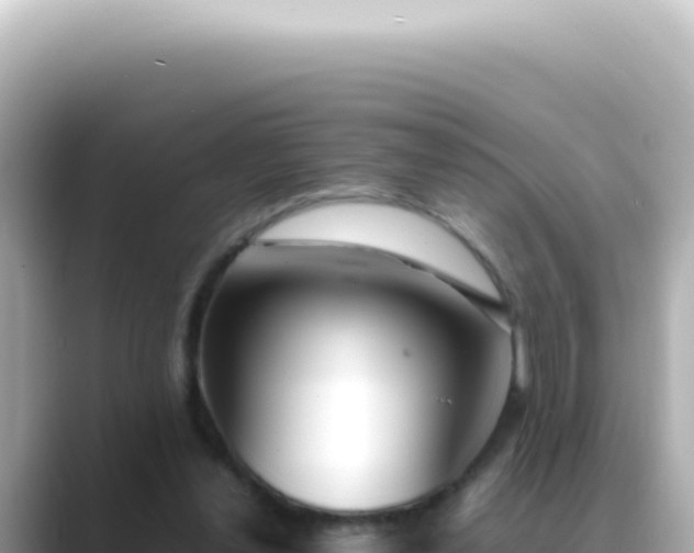 X0000089460252200706221310