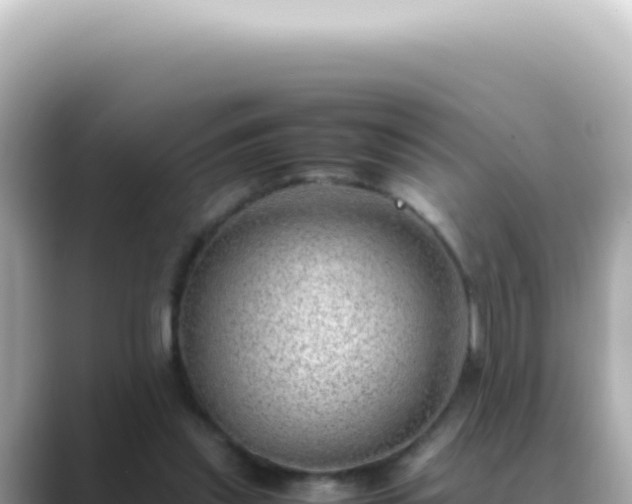 X0000089460253200706221310