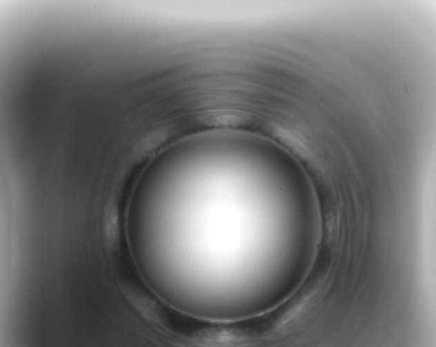 X0000089460254200706221310