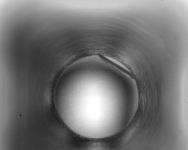 X0000089460255200706221310