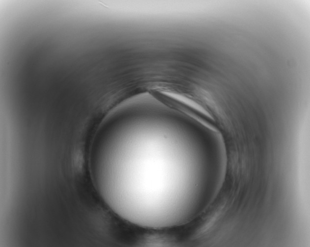 X0000089460259200706221310