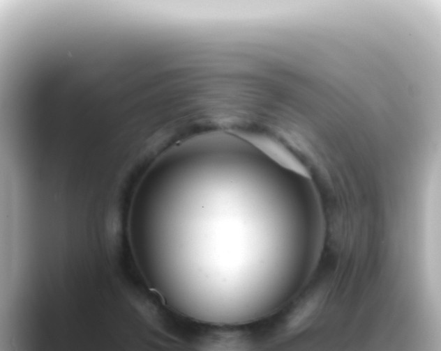 X0000089460260200706221310