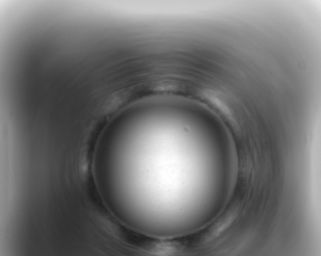 X0000089460261200706221310
