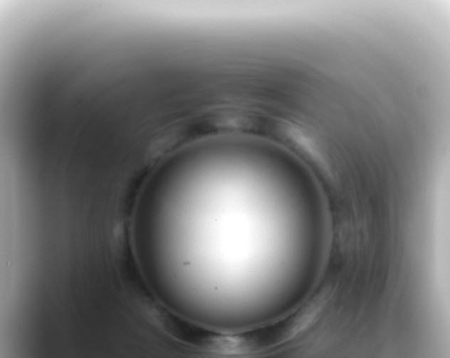 X0000089460265200706221310