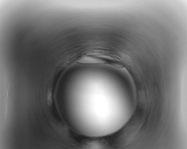 X0000089460267200706221310