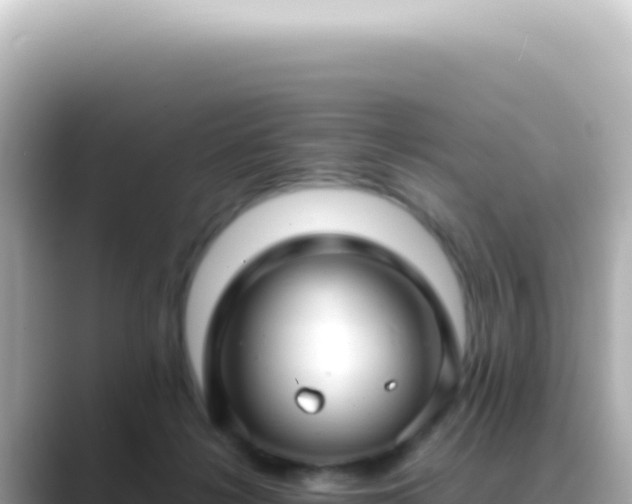 X0000089460268200706221310