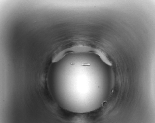 X0000089460271200706221310