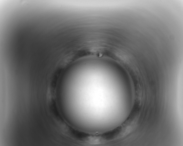 X0000089460272200706221310