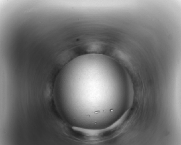 X0000089460273200706221310