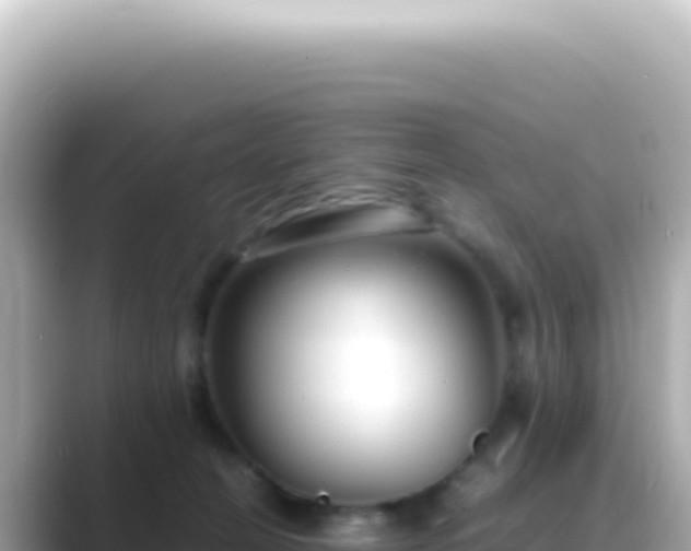 X0000089460274200706221310