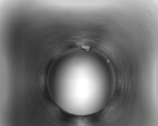 X0000089460275200706221310