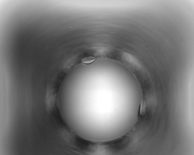X0000089460276200706221310