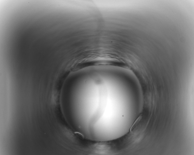 X0000089460280200706221310