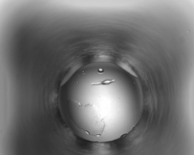 X0000089460281200706221310