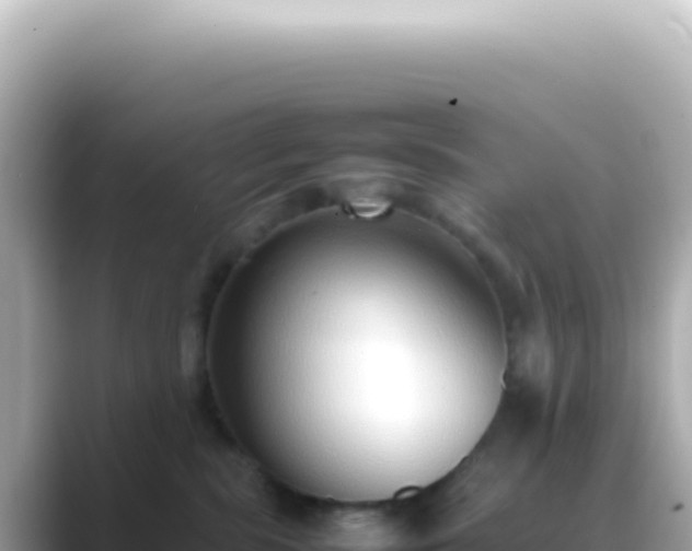 X0000089460283200706221310