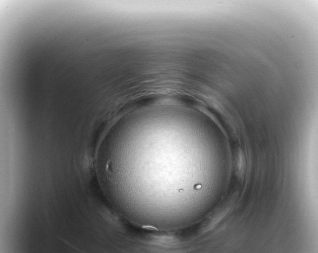 X0000089460284200706221310