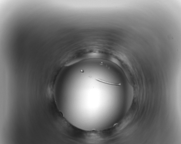 X0000089460285200706221310