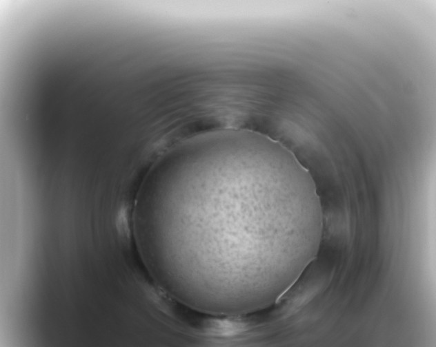 X0000089460286200706221310