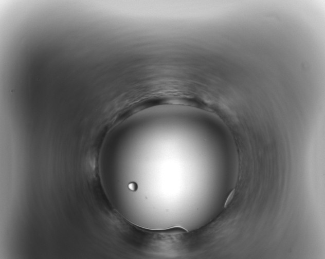 X0000089460288200706221311