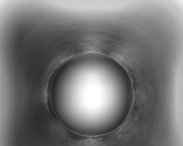 X0000089460290200706221310