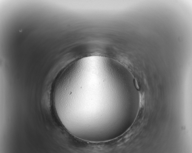 X0000089460291200706221310