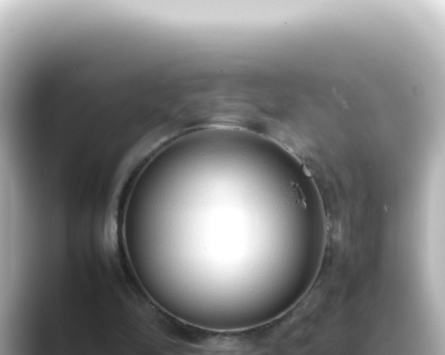 X0000089460294200706221310