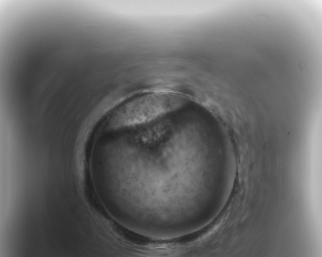 X0000089460295200706221310