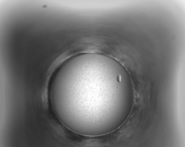 X0000089460296200706221310