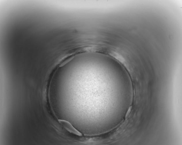X0000089460297200706221310