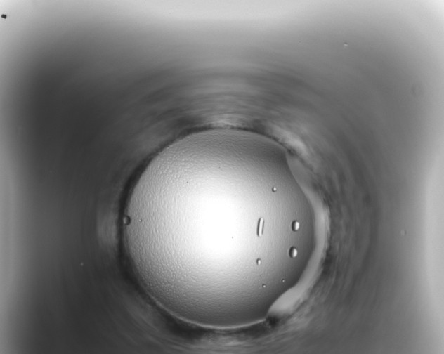 X0000089460299200706221310