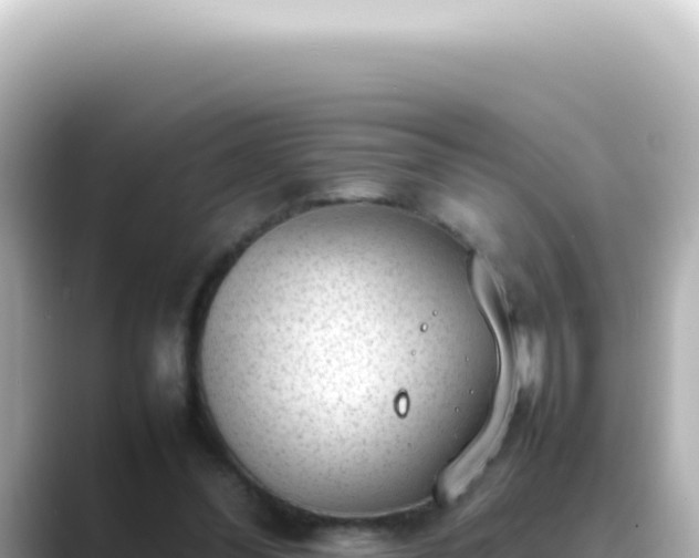 X0000089460300200706221310