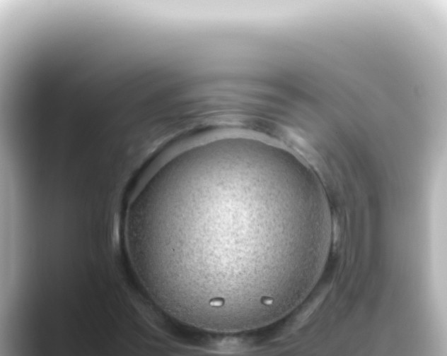 X0000089460301200706221310