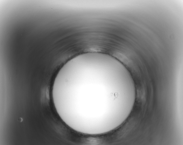 X0000089460302200706221310