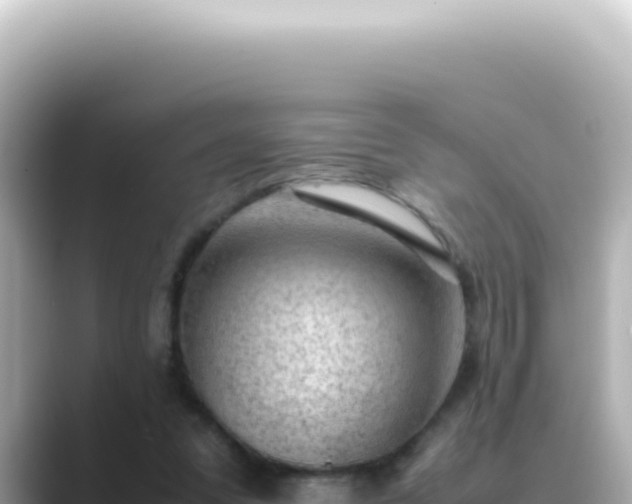 X0000089460303200706221310