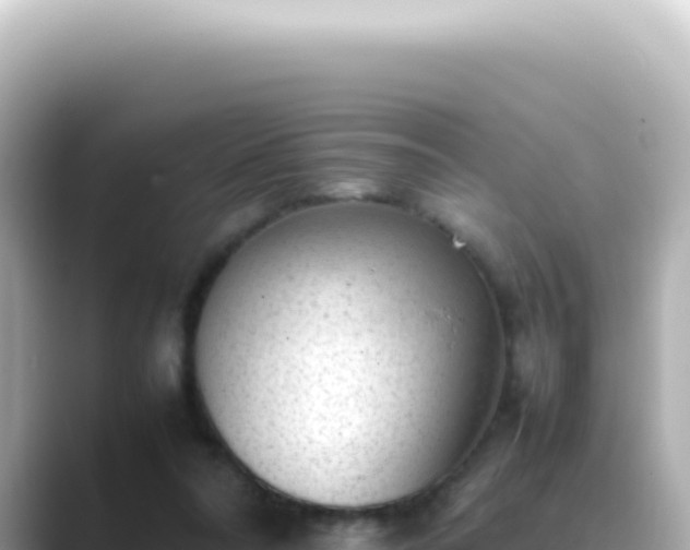X0000089460304200706221310
