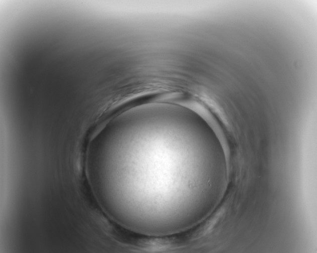 X0000089460305200706221310
