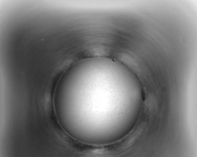 X0000089460306200706221310