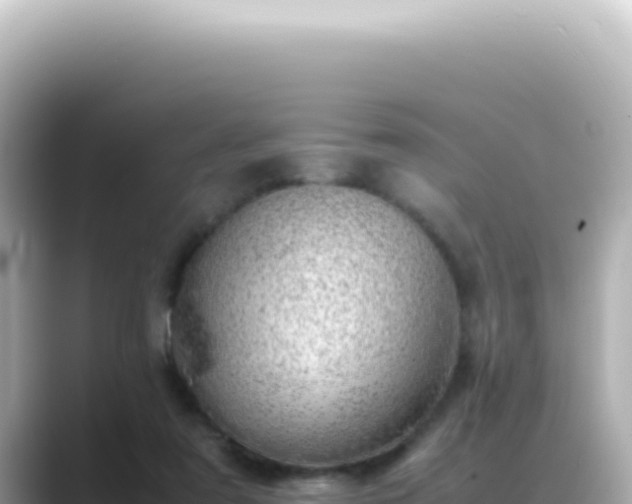 X0000089460307200706221310