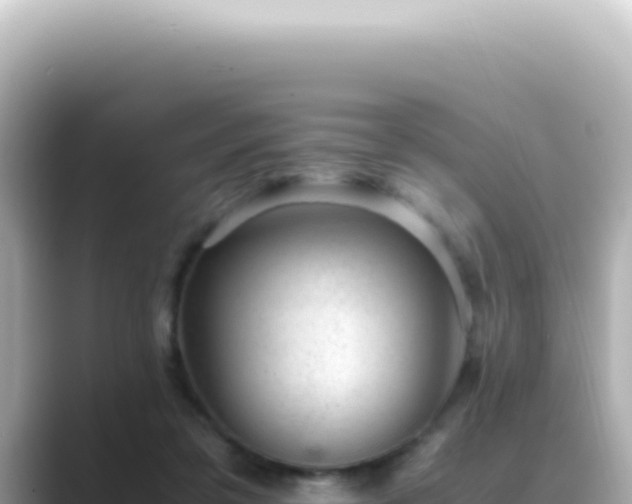 X0000089460309200706221310