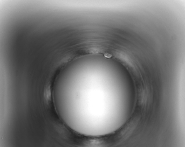 X0000089460310200706221310